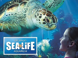 SEA_LIFE_Orlando